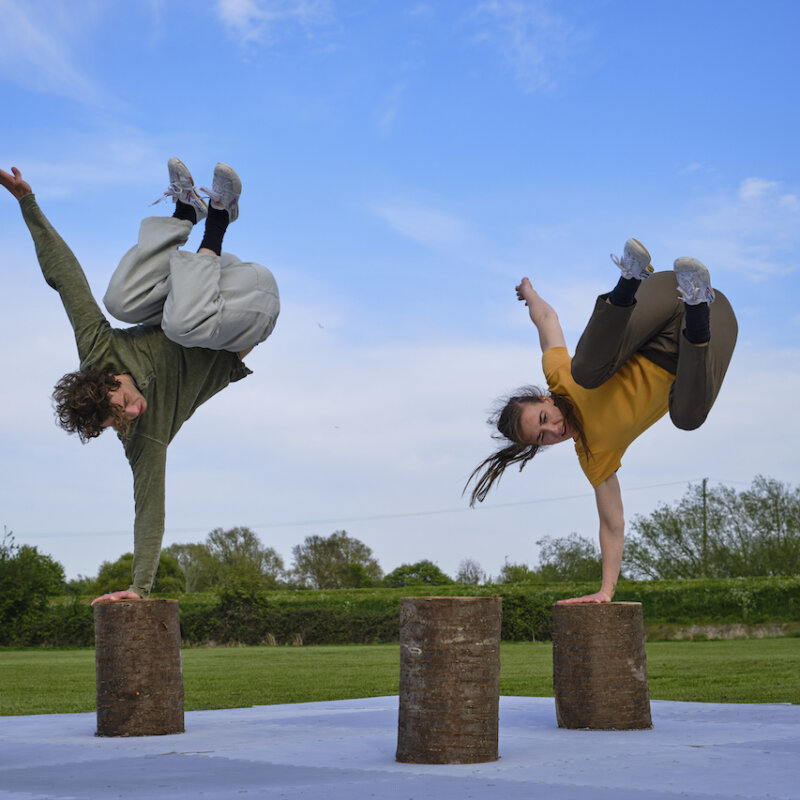 Profile image for The Place presents The Playground Tour: Vanhulle Dance Theatre: Olive Branch… Playground Edition