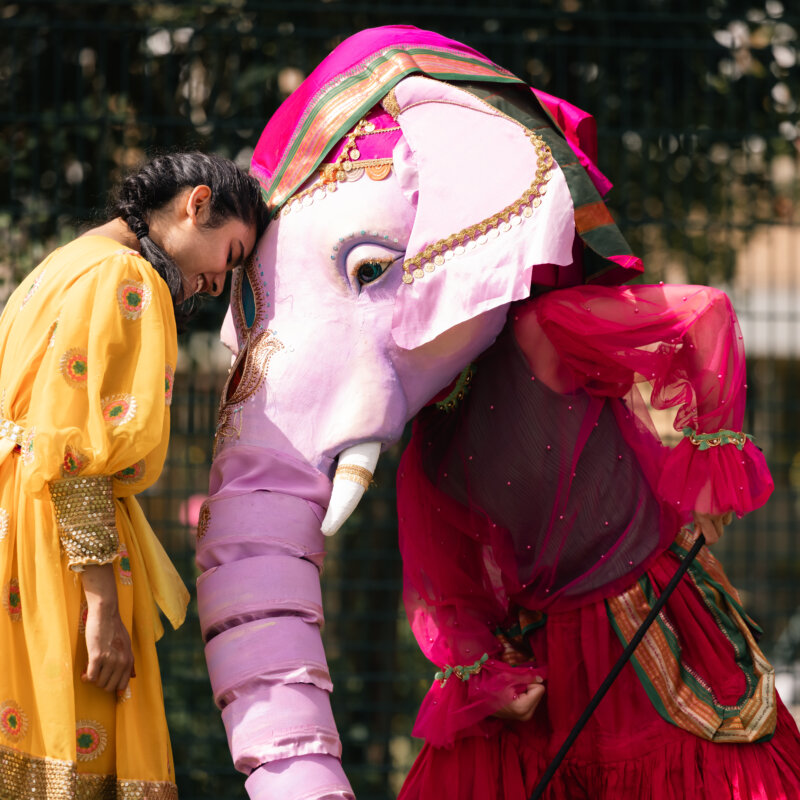 Profile image for The Place presents The Playground Tour: Sonia Sabri Company’s Mughal Miniatures: The Elephant and the Drummer