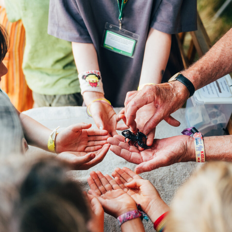 Family activities at Latitude