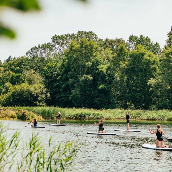 paddleboarding